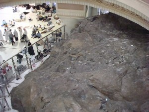 6599924413_677e7c69c5