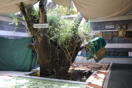 Sayyiduna Imam al-Nawawi's Maqam Destroyed in Nawah